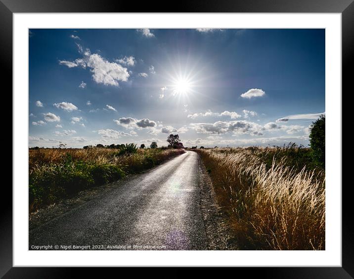 Into the Sun  Framed Mounted Print by Nigel Bangert
