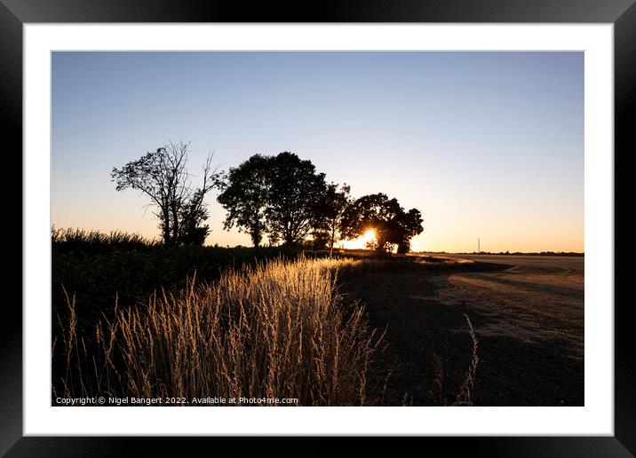 Sparrow Lane Sunset Framed Mounted Print by Nigel Bangert