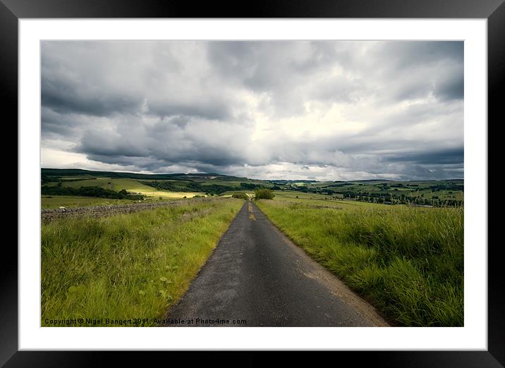 Country Lane in Northumberland Framed Mounted Print by Nigel Bangert