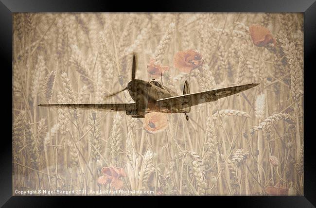 Memorial Flight Framed Print by Nigel Bangert