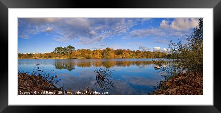 Autumn Lake Framed Mounted Print by Nigel Bangert