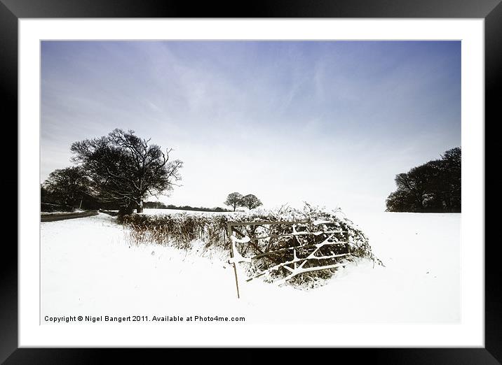 Winter Field Framed Mounted Print by Nigel Bangert