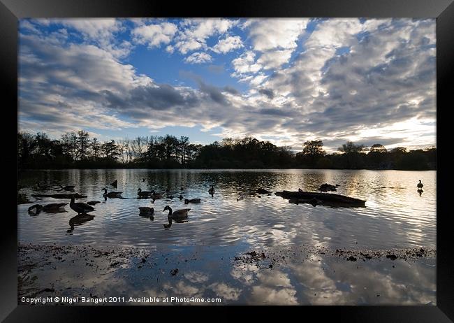 Lake Framed Print by Nigel Bangert