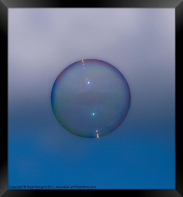 Bubble Framed Print by Nigel Bangert