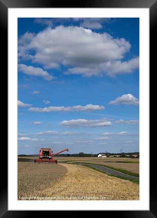 Harvest Time Framed Mounted Print by Nigel Bangert