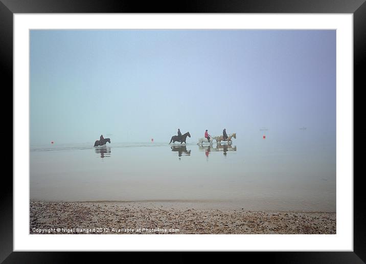 Sea Horses Framed Mounted Print by Nigel Bangert