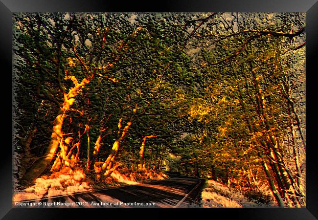 Autumn Sunlight Framed Print by Nigel Bangert
