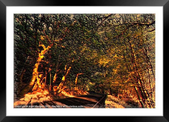Autumn Sunlight Framed Mounted Print by Nigel Bangert
