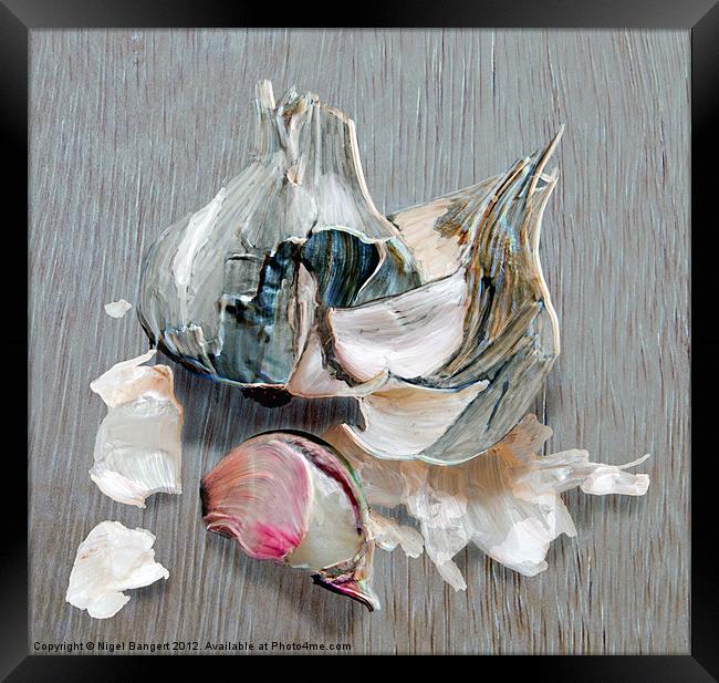 Garlic Framed Print by Nigel Bangert
