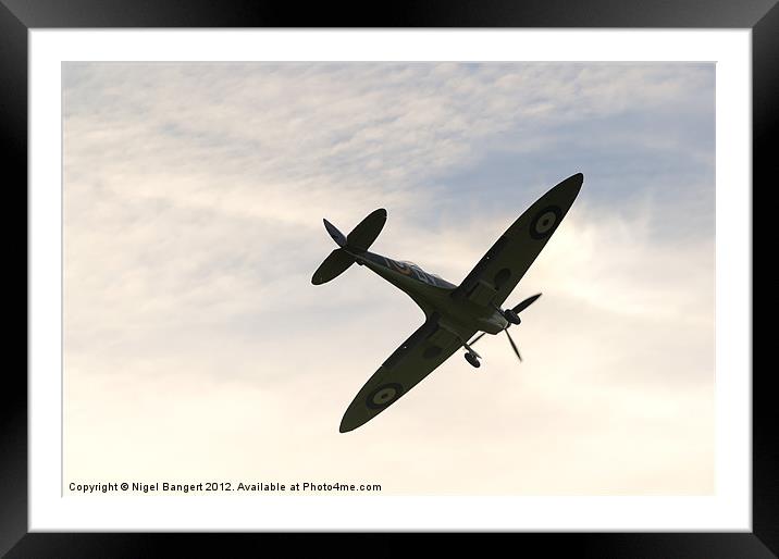 Safe Landing Framed Mounted Print by Nigel Bangert