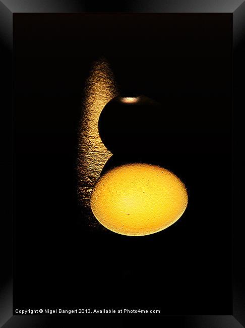 Egg Framed Print by Nigel Bangert