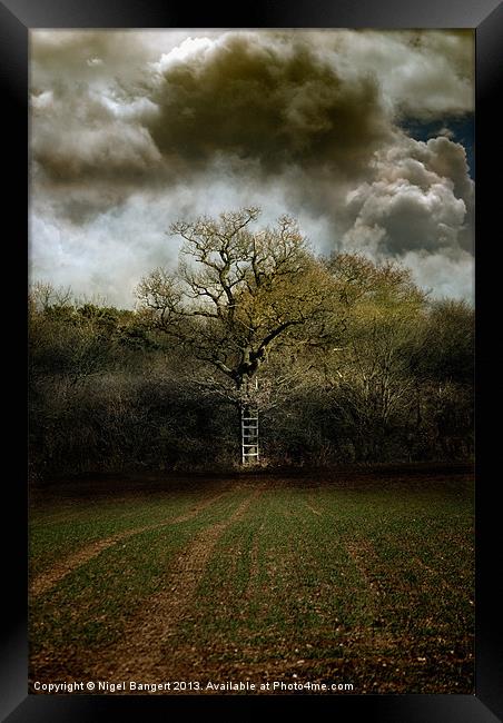 Ladder to the Clouds Framed Print by Nigel Bangert