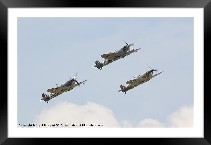 Spitfire Formation Framed Mounted Print by Nigel Bangert