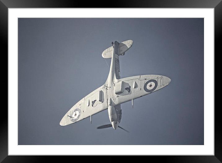 Supermarine Spitfire  Dive Framed Mounted Print by Nigel Bangert