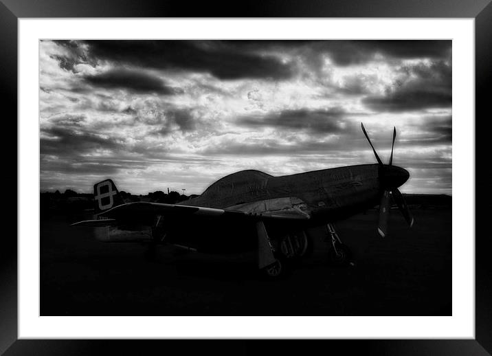 Mustang Dawn Framed Mounted Print by Nigel Bangert