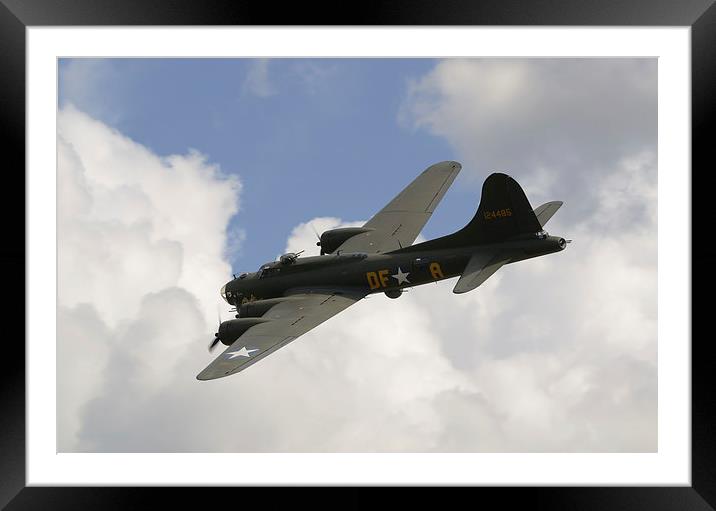 Sally B Framed Mounted Print by Nigel Bangert