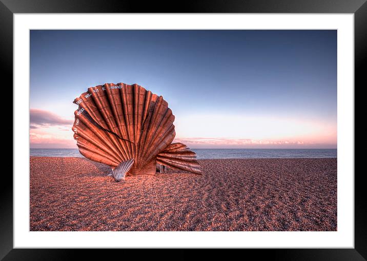 Scallop Sculpture Framed Mounted Print by Nigel Bangert