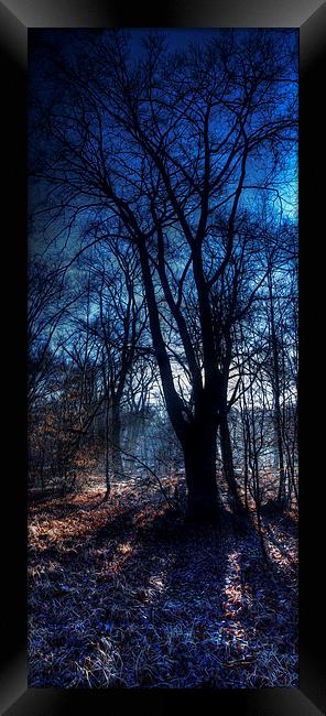 Epping Forest in Winter Oil Effect Framed Print by Nigel Bangert