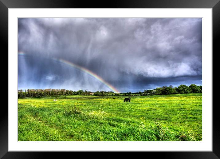 Harlow Common Rainbow Framed Mounted Print by Nigel Bangert