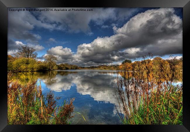  Autumn Lake Framed Print by Nigel Bangert