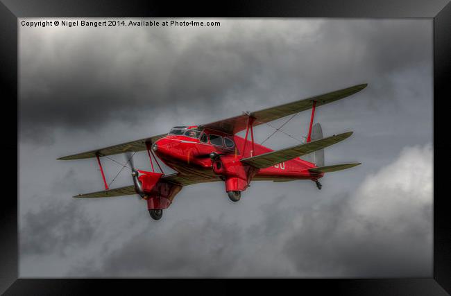 De Havilland DH.90 Dragonfly  Framed Print by Nigel Bangert