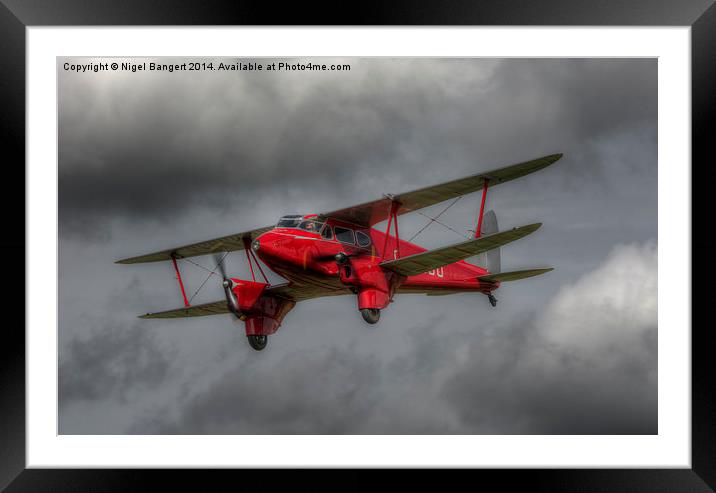 De Havilland DH.90 Dragonfly  Framed Mounted Print by Nigel Bangert