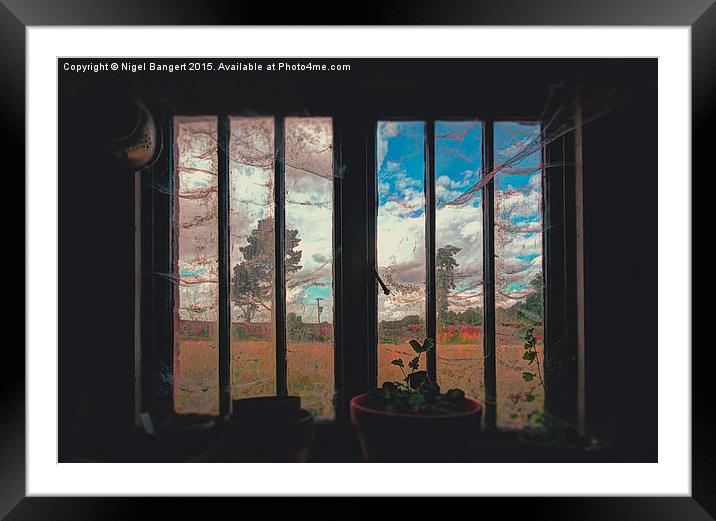  The Potting Shed Window  Framed Mounted Print by Nigel Bangert