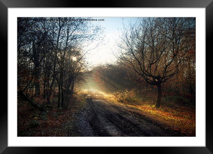  Winter Path Framed Mounted Print by Nigel Bangert