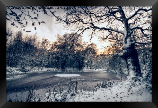  Winter Pond Framed Print by Nigel Bangert