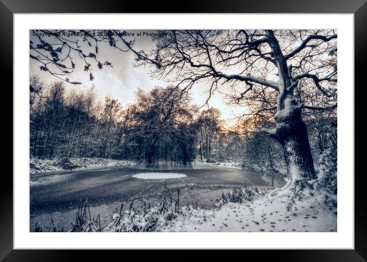  Winter Pond Framed Mounted Print by Nigel Bangert