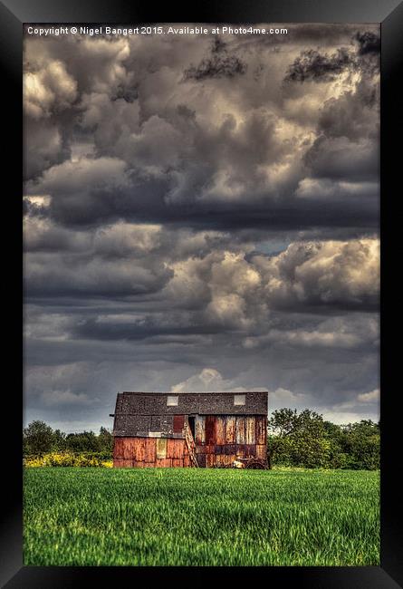  Tin Shack Framed Print by Nigel Bangert