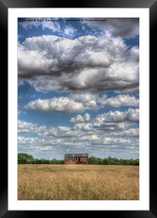  Grain Barn and Barley Field Framed Mounted Print by Nigel Bangert