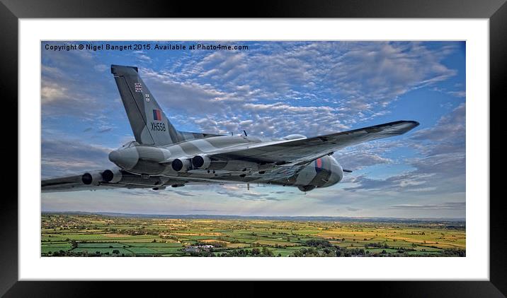  Born to Fly Framed Mounted Print by Nigel Bangert