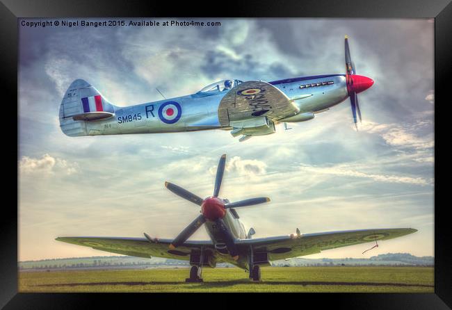  Supermarine Spitfire FR MkXVIIIe Composite Framed Print by Nigel Bangert