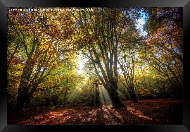  Sun Rays Framed Print by Nigel Bangert