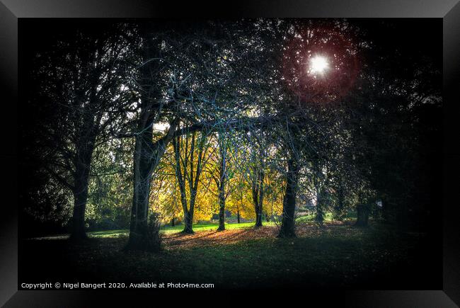 Autumn Turns to Winter Framed Print by Nigel Bangert