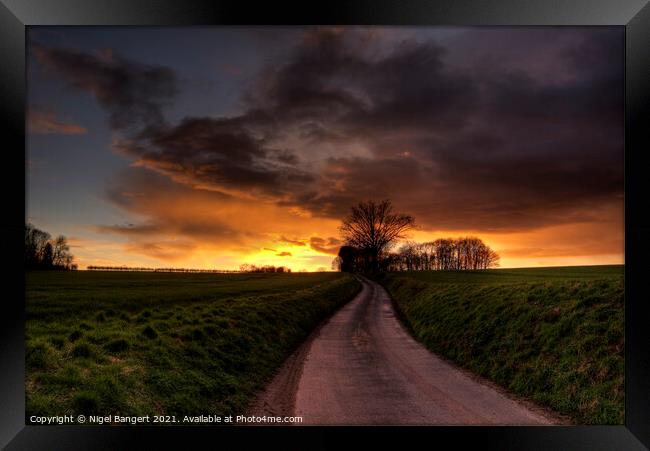 Sunset Copse Framed Print by Nigel Bangert