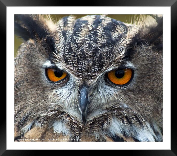 Eurasian Eagle Owl Framed Mounted Print by Ben Hirst