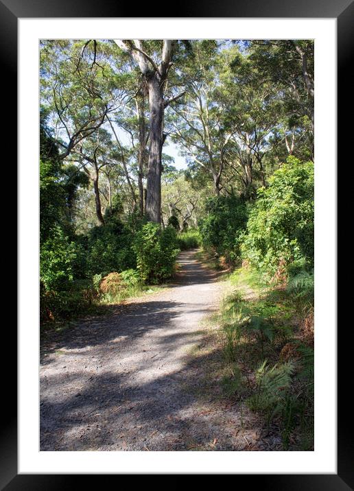 Hole in the Wall Walking Track  Framed Mounted Print by Alison Johnston