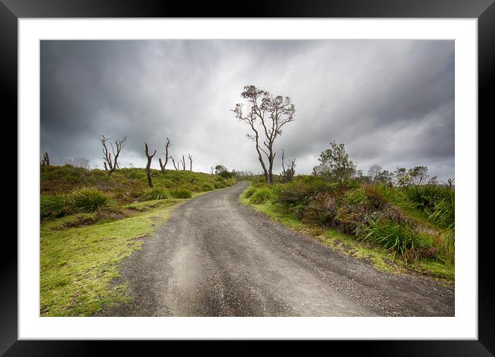 Walkway to the Carpark  Framed Mounted Print by Alison Johnston