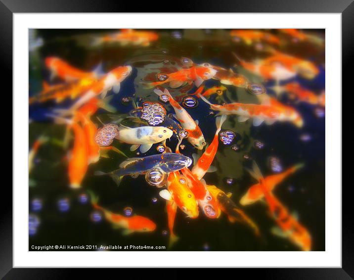 Fish Framed Mounted Print by Ali Kernick