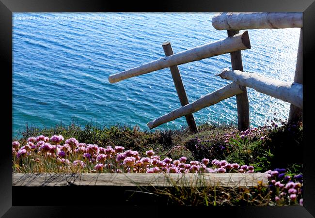Clifftop Thrift Framed Print by Terri Waters