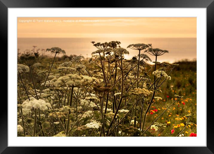 Wild Flowers at Sunset Framed Mounted Print by Terri Waters