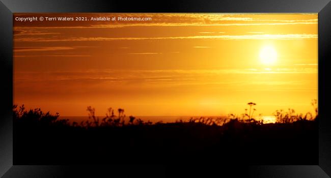 Cornish Sunset Panorama Framed Print by Terri Waters