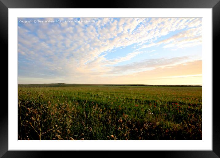 Mackerel Sky Over The Poppy Field Framed Mounted Print by Terri Waters