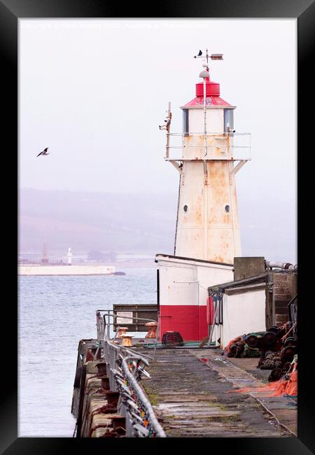 Newlyn Lighthouse Jubilee Pool and the War Memorial Penzance Framed Print by Terri Waters