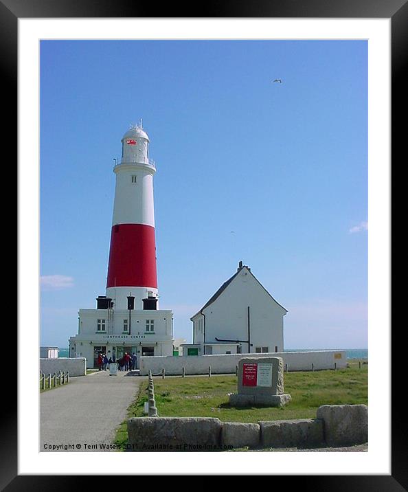 Portland Bill Lighthouse Framed Mounted Print by Terri Waters