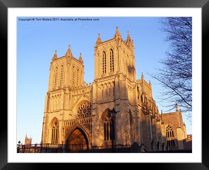 Bristol Cathedral Framed Mounted Print by Terri Waters