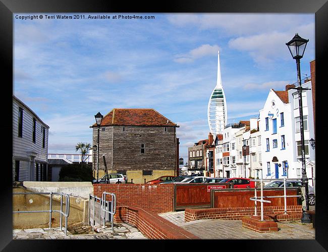 Old Portsmouth Flood Gates Framed Print by Terri Waters