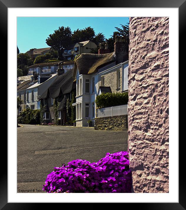 St Mawes Cottages on the Roseland Framed Mounted Print by Terri Waters
